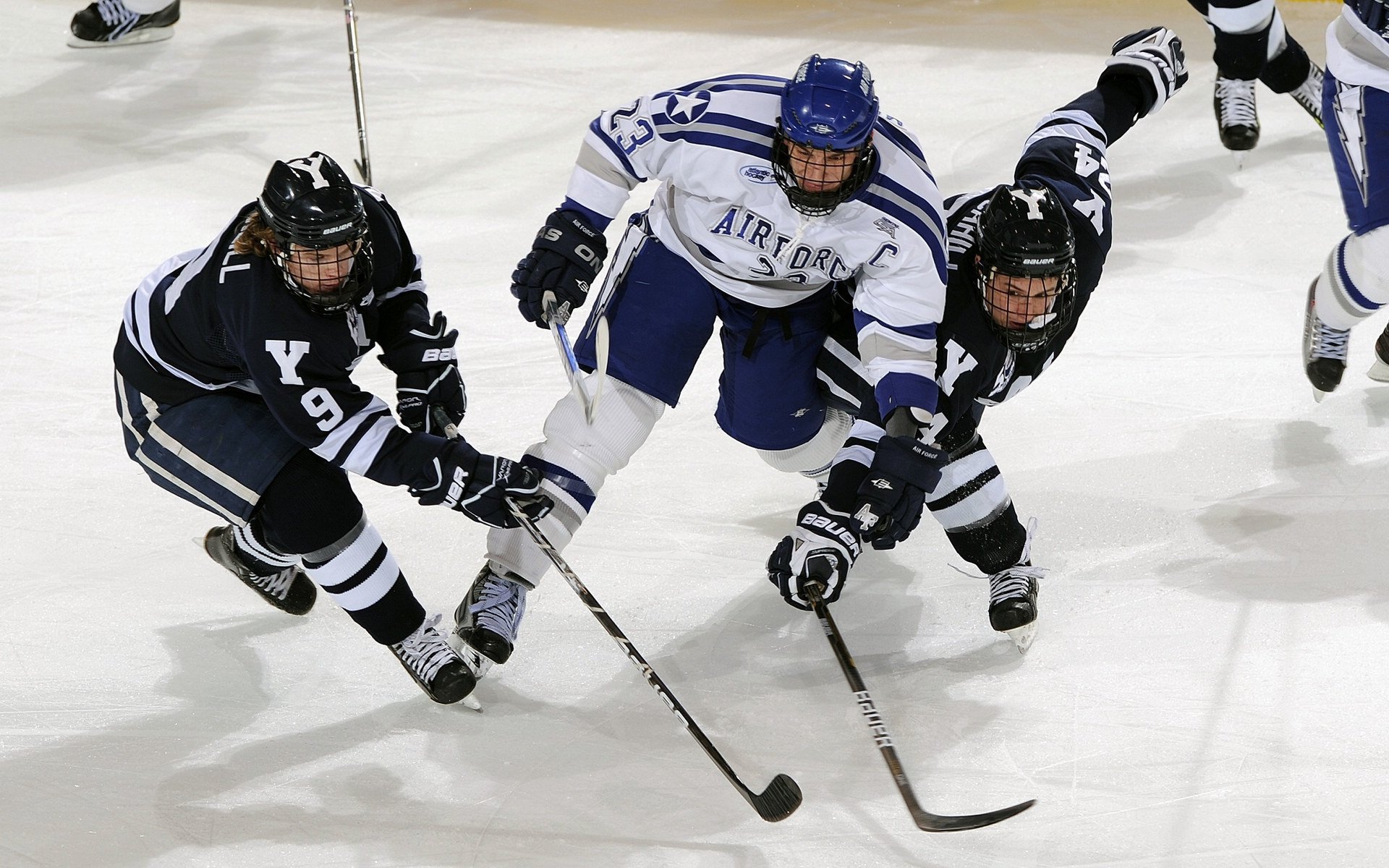 数字体育平台助力青少年科学训练，提升比赛成果，数字体育项目合法吗